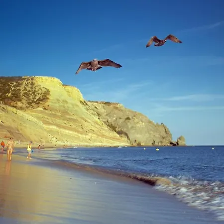 Calheta House In * Luz