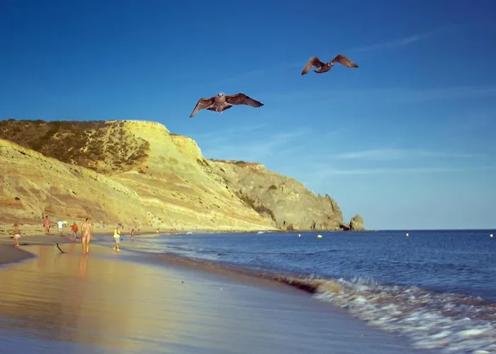 Calheta House In * Luz